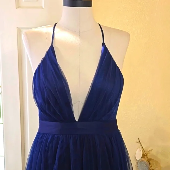 Windsor Formal Dress - Picture 3 of 9